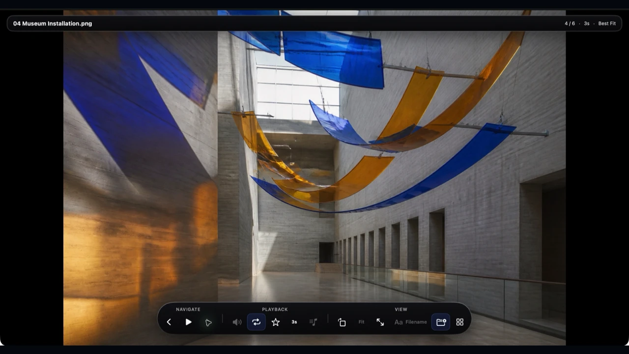 Real Vistaro viewer presenting an image full screen with compact controls